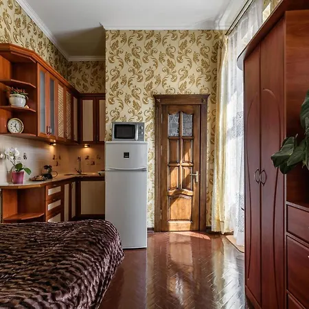 Novyi 4/8 Apartment Lviv